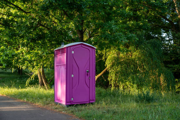 Best Deluxe Portable Toilet Rental  in Fernley, NV